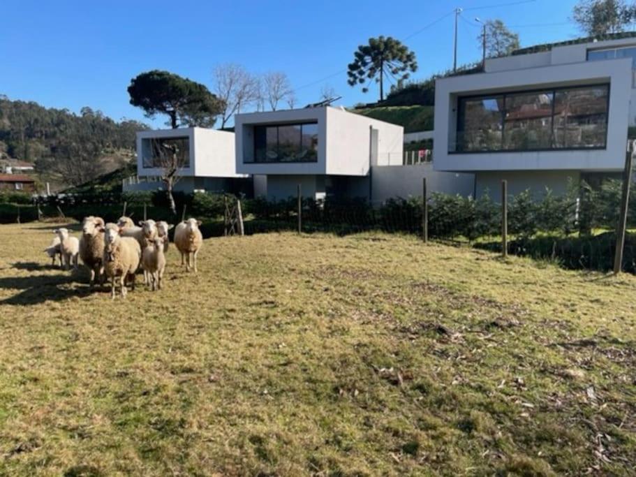 Viana Do Castelo - Amonde Village -Casa A * Relax Exterior photo