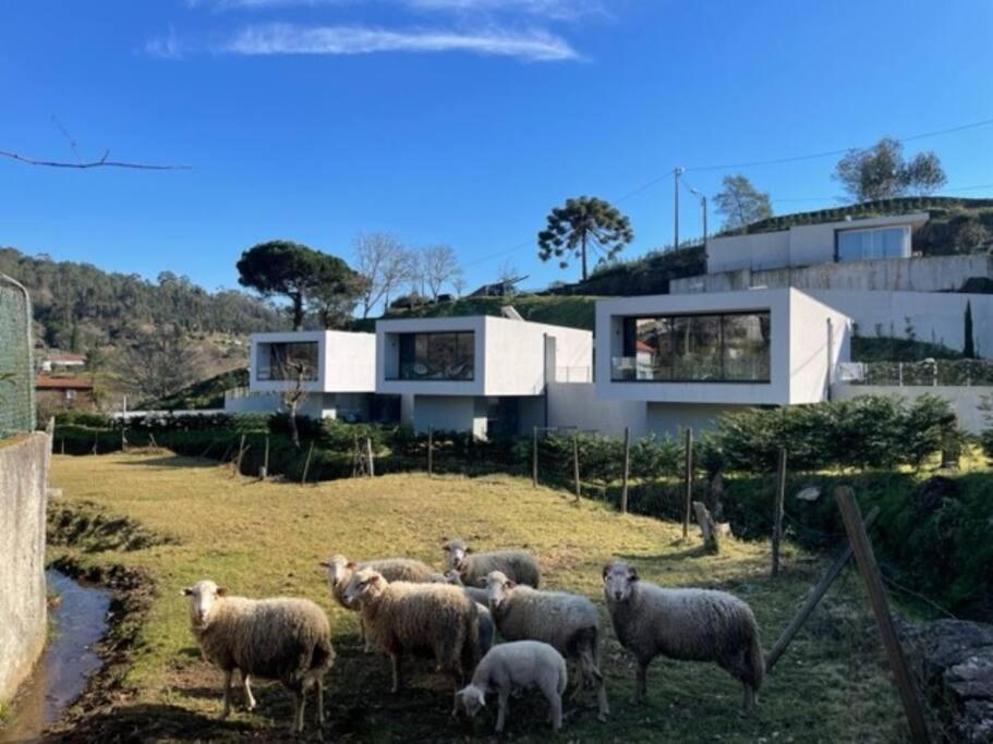 Viana Do Castelo - Amonde Village -Casa A * Relax Exterior photo